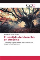 Mauricio Iván Vargas Mendoza - El sentido del derecho en América