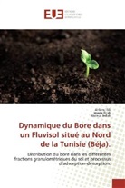 Imen Dridi, Imene Dridi, Naceur Jedidi, Ahle Tlili, Ahlem Tlili - Dynamique du Bore dans un Fluvisol situé au Nord de la Tunisie (Béja).
