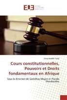 Stevy Juvadel Poaty - Cours constitutionnelles, Pouvoirs et Droits fondamentaux en Afrique
