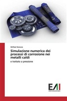 Wilfred Mukora - Simulazione numerica dei processi di corrosione nei metalli caldi