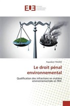Napoléon Toloko - Le droit pénal environnemental