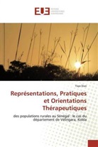 Yaya Diao - Représentations, Pratiques et Orientations Thérapeutiques