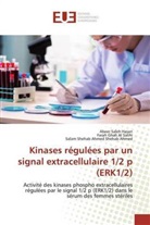 Fara Ghali Al Salihi, Farah Ghali Al Salihi, Abee Saleh Hasan, Abeer Saleh Hasan, Shehab A, Salam Shehab Ahmed Shehab Ahmed - Kinases régulées par un signal extracellulaire 1/2 p (ERK1/2)