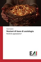Victor Kryukov - Nozioni di base di assiologia