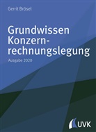 Gerrit Brösel - Grundwissen Konzernrechnungslegung