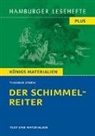 Theodor Storm - Der Schimmelreiter von Theodor Sturm (Textausgabe)