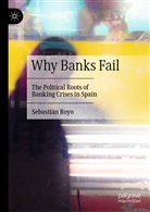 Sebastian Royo, Sebastián Royo - Why Banks Fail