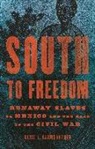 Alice Baumgartner, Alice L. Baumgartner - South to Freedom