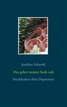 Joachim Schmidt - Das gehet meiner Seele nah