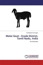 Kirubakaran Arumugam - Molai Goat - Erode District, Tamil Nadu, India