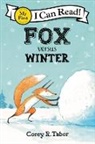 Corey R Tabor, Corey R. Tabor, Tabor Corey R., Corey R. Tabor, Tabor Corey R. - Fox versus Winter