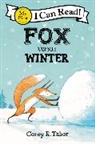 Corey R Tabor, Corey R. Tabor, Tabor Corey R., Corey R. Tabor - Fox versus Winter