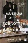Anstey Harris - The Museum of Forgotten Memories