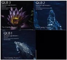 Jeru Kabbal - Quantum Light Breath, 3 Audio-CD (Audio book)