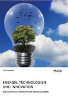 Steffen Will - Energie, Technologien und Innovation. Wie lassen sich Energiespeicher sinnvoll nutzen?