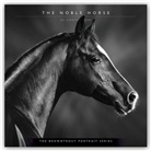 Browntrout, BrownTrout Publishers, Browntrout Publishing (COR) - The Noble Horse 2021 Calendar