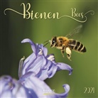 Korsch Verlag - Bienen / Bees 2021