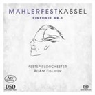 Gustav Mahler - Sinfonie 1 (Live-Aufnahme 1989) (Audio book)