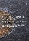 Ian Havercroft, Richard Macrory, Richard Macrory Hon KC, Richard Macrory Hon QC, Stewart, Richar Stewart... - Carbon Capture and Storage