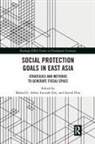 Mukul G. (National University of Singapore Asher, Mukul G. (National University of Singapore) Asher, Mukul G. Asher, Mukul G. (National University of Singapore Asher, Mukul G. (National University of Singapore) Asher, Asher Mukul G.... - Social Protection Goals in East Asia