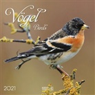 Verlag Korsch, Korsch Verlag - Vögel / Birds 2021