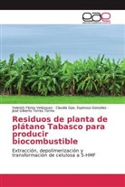 Clau Espinosa González, Claudia Gpe. Espinosa González, Valentí Flores Velázquez, Valentín Flores Velázquez, José Gilberto Torres Torres - Residuos de planta de plátano Tabasco para producir biocombustible