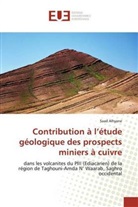 Saad Alhyane - Contribution à l'étude géologique des prospects miniers à cuivre