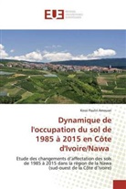 Kossi Paulin Amouan - Dynamique de l'occupation du sol de 1985 à 2015 en Côte d'Ivoire/Nawa