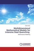 Andris Buikis - Multidimensional Mathematical Models for Intensive Steel Quenching
