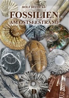 Rolf Reinicke - Fossilien am Ostseestrand