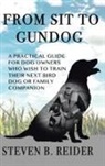 Steven B. Reider - FROM SIT TO GUNDOG