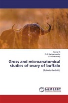 Kuma K, Kumar K, O Sathyamoorthy, O R Sathyamoorthy, O. R Sathyamoorthy, O.R Sathyamoorthy... - Gross and microanatomical studies of ovary of buffalo