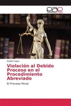 Angela Cagua - Violación al Debido Proceso en el Procedimiento Abreviado