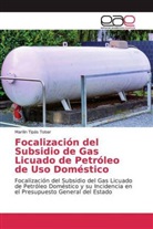 Marilin Tipás Tobar - Focalización del Subsidio de Gas Licuado de Petróleo de Uso Doméstico
