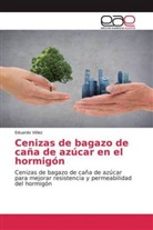Eduardo Vélez - Cenizas de bagazo de caña de azúcar en el hormigón