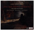 Jean-Pierre Collot - Spectral Visions of Goethe, 1 Audio-CD (Audio book)