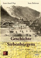 Ioan Bolovan, Ioan Aurel Pop, Ioan_Aurel Pop, Ioan-Aurel Pop, Traian Pop - Geschichte Siebenbürgens