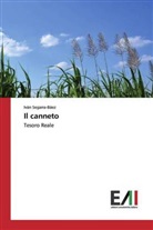 Iván Segarra-Báez - Il canneto