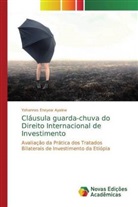 Yohannes Eneyew Ayalew - Cláusula guarda-chuva do Direito Internacional de Investimento