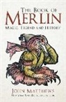 John Matthews - The Book of Merlin