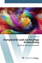 Miguel Briceño Gil - Komplexität und nachhaltige Entwicklung
