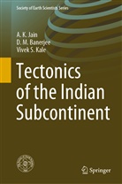 D Banerjee, D M Banerjee, D. M. Banerjee, D.M. Banerjee, A Jain, A K Jain... - Tectonics of the Indian Subcontinent