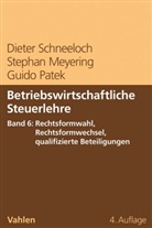 Stepha Meyering, Stephan Meyering, Guido Patek, Diete Schneeloch, Dieter Schneeloch - Betriebswirtschaftliche Steuerlehre - 6: Betriebswirtschaftliche Steuerlehre  Band 6: Rechtsformwahl, Rechtsformwechsel, qualifizierte Beteiligungen