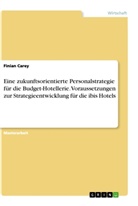 Finian Carey - Eine zukunftsorientierte Personalstrategie für die Budget-Hotellerie. Voraussetzungen zur Strategieentwicklung für die ibis Hotels