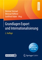 Gottfried Haber, Meinra Höfferer, Meinrad Höfferer, Dietmar Sternad - Grundlagen Export und Internationalisierung, m. 1 Buch, m. 1 E-Book