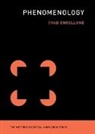 Chad Engelland, Engelland Chad - Phenomenology