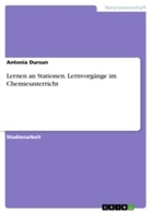 Antonia Dursun - Lernen an Stationen. Lernvorgänge im Chemieunterricht
