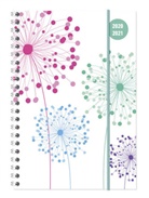 Alpha Edition - Collegetimer Blowballs 2020/2021