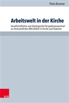 Petra Brunner, Eberhard Hauschildt, Fran Karl Prassl, Franz Karl Prassl, Anne M Steinmeier, Franz Karl Praßl... - Arbeitswelt in der Kirche