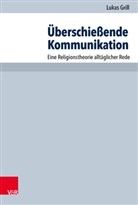 Lukas Grill, Eberhard Hauschildt, Fran Karl Prassl, Franz Karl Prassl, Anne M Steinmeier, Franz Karl Praßl... - Überschießende Kommunikation